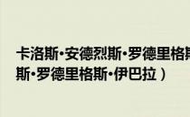 卡洛斯·安德烈斯·罗德里格斯·伊巴拉（关于卡洛斯·安德烈斯·罗德里格斯·伊巴拉）