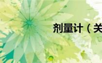 剂量计（关于剂量计）