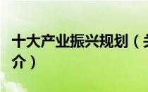 十大产业振兴规划（关于十大产业振兴规划简介）