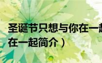 圣诞节只想与你在一起（关于圣诞节只想与你在一起简介）