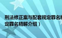刑法修正案与配套规定罪名精解（关于刑法修正案与配套规定罪名精解介绍）