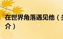 在世界角落遇见他（关于在世界角落遇见他简介）