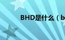 BHD是什么（bhd是什么格式）