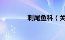 刺尾鱼科（关于刺尾鱼科）