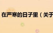 在严寒的日子里（关于在严寒的日子里简介）