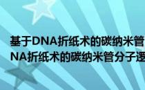 基于DNA折纸术的碳纳米管分子逻辑电路研究（关于基于DNA折纸术的碳纳米管分子逻辑电路研究）