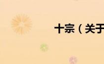 十宗（关于十宗简介）