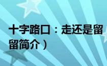 十字路口：走还是留（关于十字路口：走还是留简介）