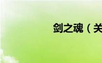 剑之魂（关于剑之魂）