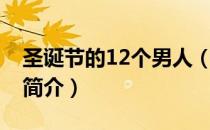 圣诞节的12个男人（关于圣诞节的12个男人简介）