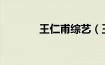 王仁甫综艺（王仁甫电视剧）