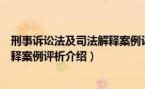 刑事诉讼法及司法解释案例评析（关于刑事诉讼法及司法解释案例评析介绍）