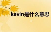 kevin是什么意思（kevin什么意思）