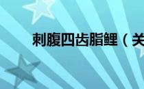 刺腹四齿脂鲤（关于刺腹四齿脂鲤）