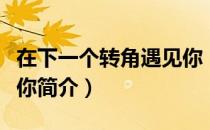 在下一个转角遇见你（关于在下一个转角遇见你简介）