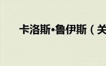 卡洛斯·鲁伊斯（关于卡洛斯·鲁伊斯）