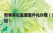 刑事诉讼监督案件化办理（关于刑事诉讼监督案件化办理介绍）