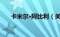卡米尔·阿比利（关于卡米尔·阿比利）