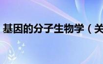 基因的分子生物学（关于基因的分子生物学）