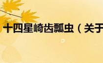 十四星崎齿瓢虫（关于十四星崎齿瓢虫简介）