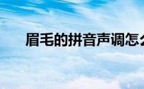眉毛的拼音声调怎么写（眉毛的拼音）