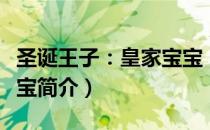 圣诞王子：皇家宝宝（关于圣诞王子：皇家宝宝简介）