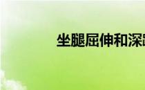 坐腿屈伸和深蹲有什么区别 