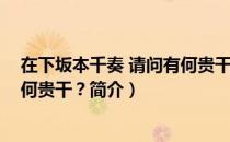 在下坂本千奏 请问有何贵干？（关于在下坂本千奏 请问有何贵干？简介）