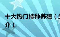 十大热门特种养殖（关于十大热门特种养殖简介）
