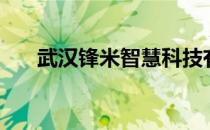 武汉锋米智慧科技有限公司（米锋网）
