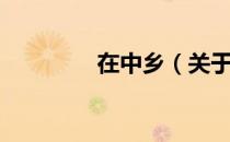 在中乡（关于在中乡简介）