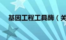 基因工程工具酶（关于基因工程工具酶）