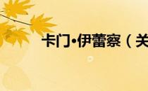 卡门·伊蕾察（关于卡门·伊蕾察）