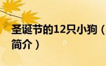 圣诞节的12只小狗（关于圣诞节的12只小狗简介）