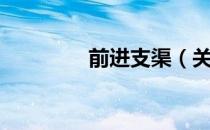 前进支渠（关于前进支渠）