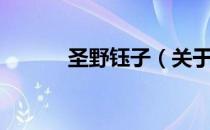圣野钰子（关于圣野钰子简介）