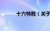 十六特胜（关于十六特胜简介）