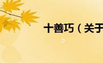 十善巧（关于十善巧简介）