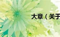 大章（关于大章简介）