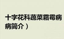 十字花科蔬菜霜霉病（关于十字花科蔬菜霜霉病简介）
