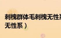 刺槐群体毛刺槐无性系（关于刺槐群体毛刺槐无性系）