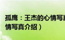 孤鹰：王杰的心情写真（关于孤鹰：王杰的心情写真介绍）