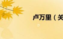 卢万里（关于卢万里）