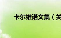 卡尔维诺文集（关于卡尔维诺文集）