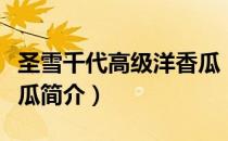 圣雪千代高级洋香瓜（关于圣雪千代高级洋香瓜简介）