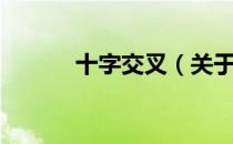 十字交叉（关于十字交叉简介）