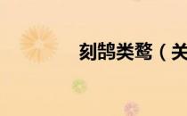刻鹄类鹜（关于刻鹄类鹜）