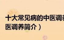 十大常见病的中医调养（关于十大常见病的中医调养简介）