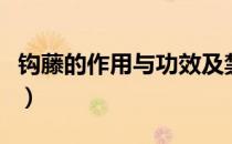 钩藤的作用与功效及禁忌（钩藤的作用与功效）