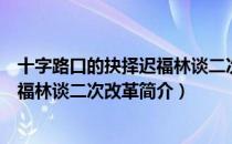 十字路口的抉择迟福林谈二次改革（关于十字路口的抉择迟福林谈二次改革简介）